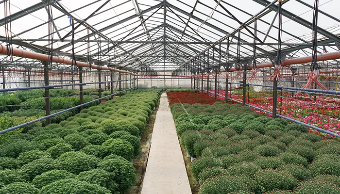  PEB buildings for farming